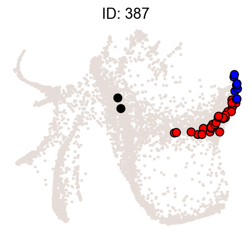 _images/20211010_clonal_analysis_16_2.png