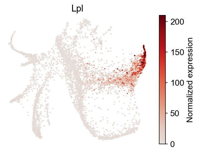 _images/20211010_map_analysis_49_1.png