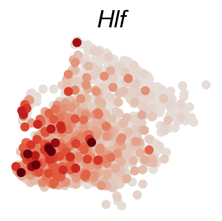 _images/20231122_DARLIN_in_vivo_hematopoiesis_73_0.png