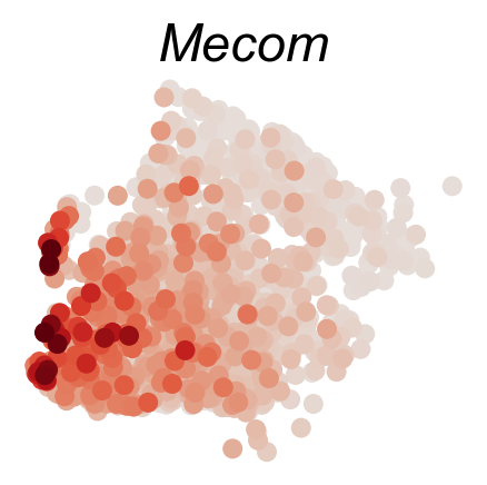 _images/20231122_DARLIN_in_vivo_hematopoiesis_73_1.png