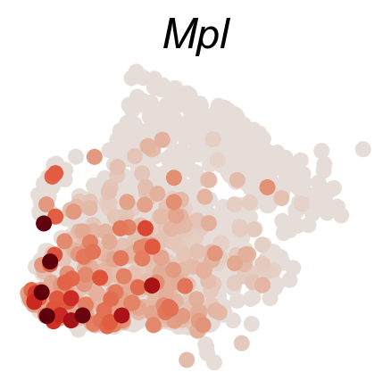 _images/20231122_DARLIN_in_vivo_hematopoiesis_73_2.png