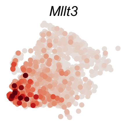 _images/20231122_DARLIN_in_vivo_hematopoiesis_73_3.png