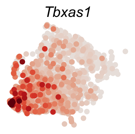 _images/20231122_DARLIN_in_vivo_hematopoiesis_73_4.png