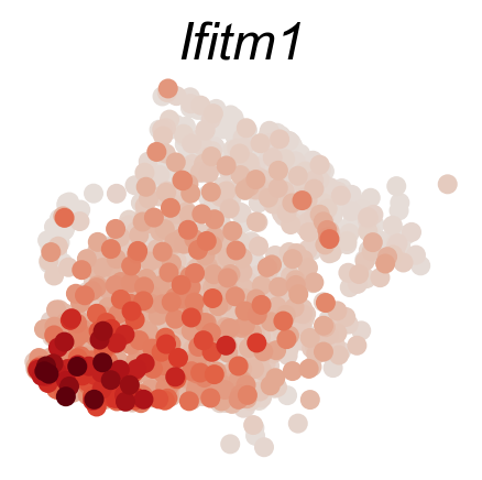 _images/20231122_DARLIN_in_vivo_hematopoiesis_73_5.png