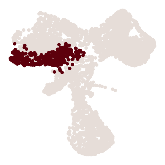 _images/20231122_DARLIN_in_vivo_hematopoiesis_76_1.png
